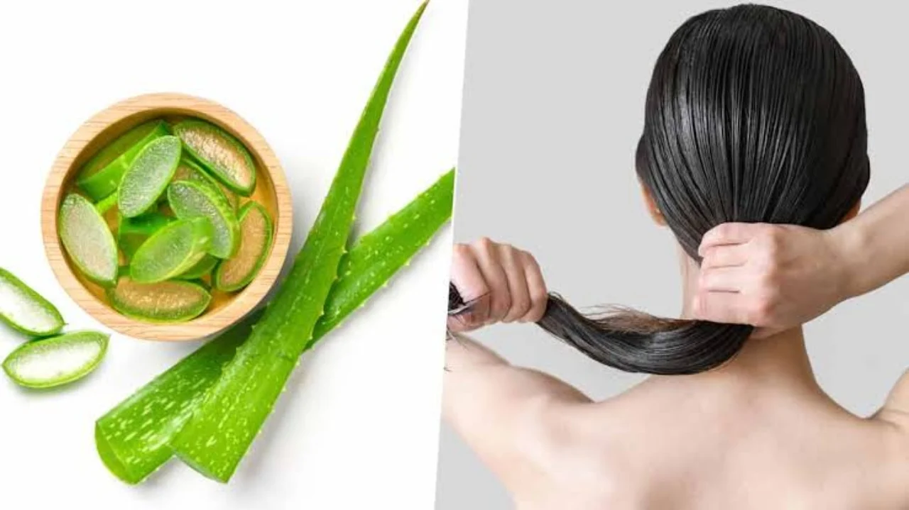Top 4 Benefits of Aloe Vera for Hair: Know Here How to Apply