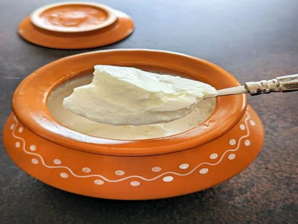 How to Make Perfect Dahi (Curd) at Home & Tips to Store It Properly 