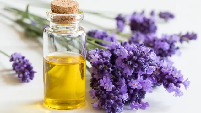 How To Make DIY Lavender Oil For Hair Growth At Home?