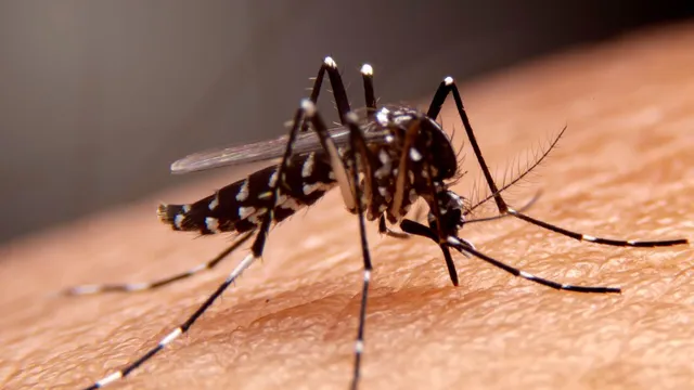 Monsoon Why Viral Fevers, Dengue and Typhoid Surge During Monsoon? Doctor Explains
